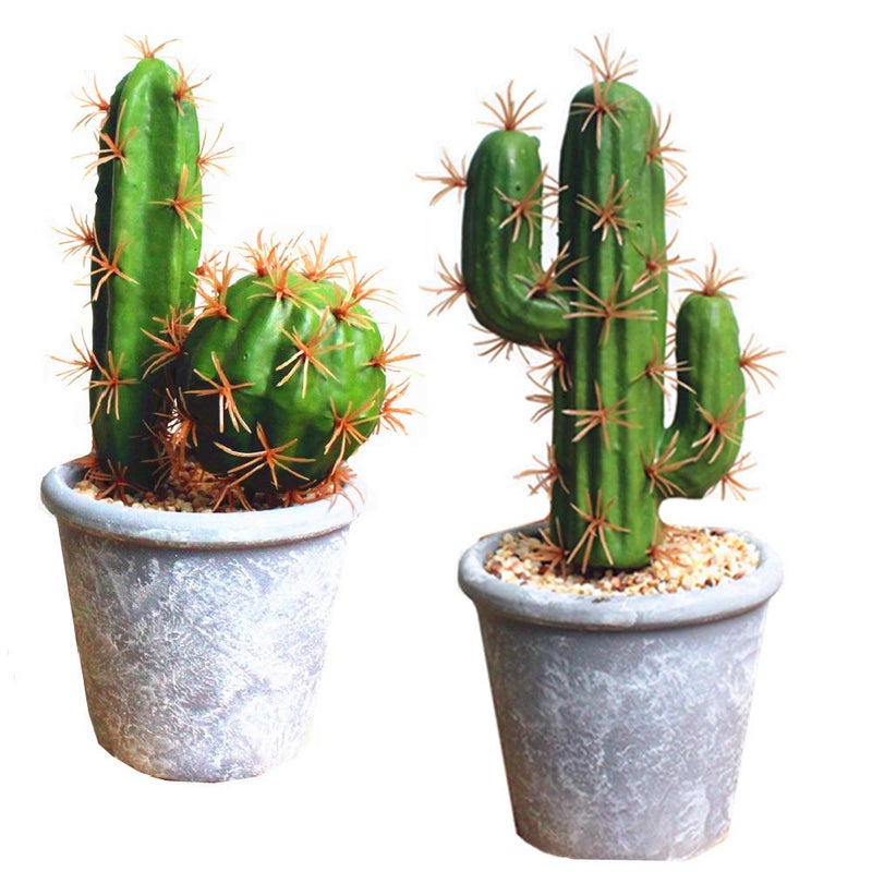 Fycooler Artificial Succulent Plants,Fake Cactus Decorative Plants - Artificial Cacti with Gray Pots Planters,Artificial Faux Cactus for Home DÃ©cor House Office Ornaments - Image 1
